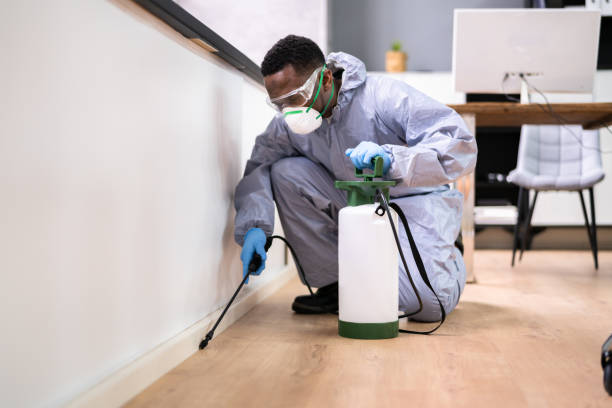 Professional Pest Control in Chestertown, MD